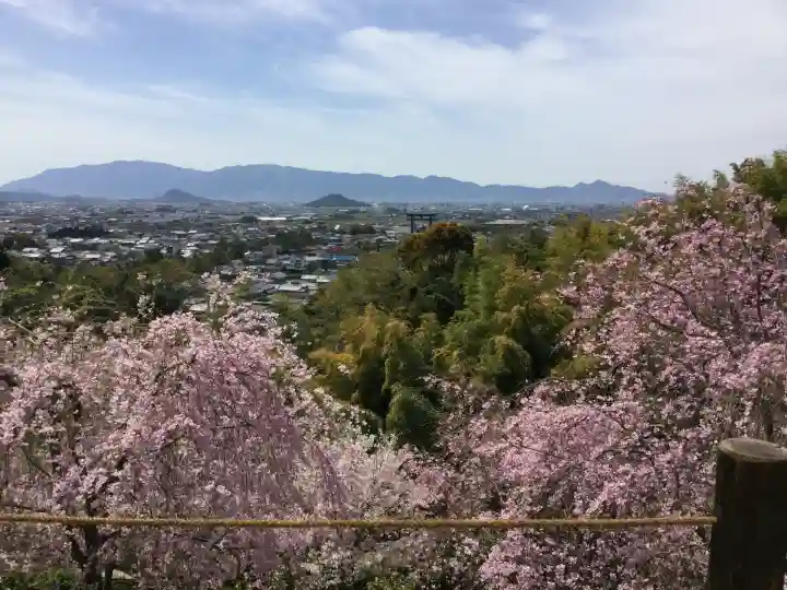 大神神社(奈良県)