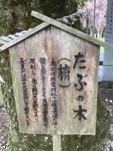 橿森神社の自然