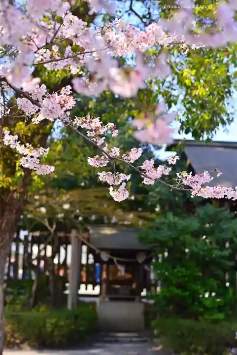 阿佐ヶ谷神明宮(東京都)
