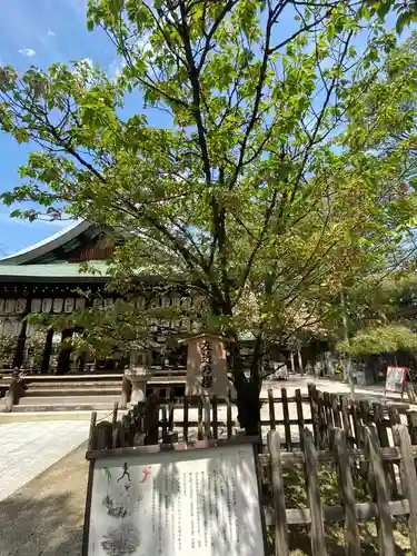 白峯神宮の庭園