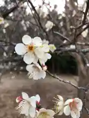 大生郷天満宮の自然