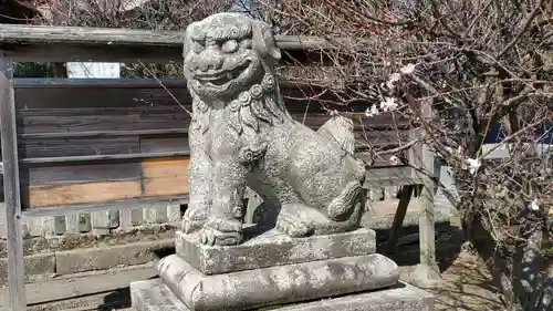 中津神社の狛犬