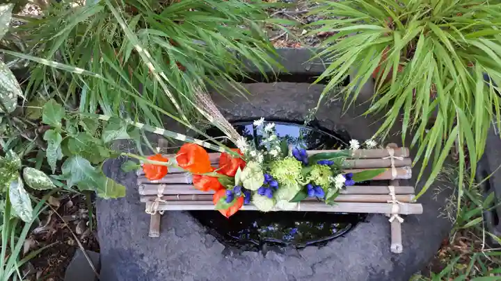 新琴似神社の手水舎