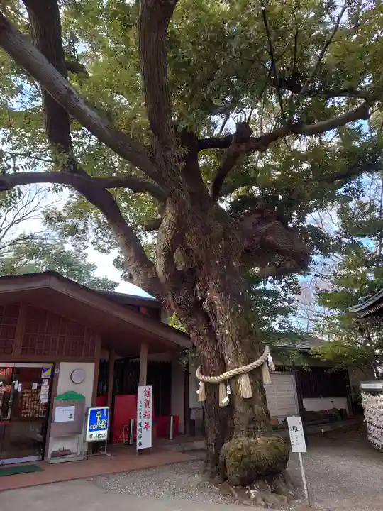 座間神社(神奈川県)