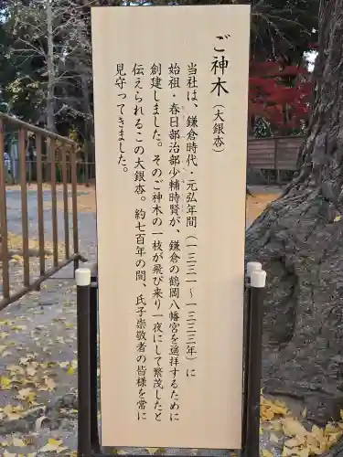 春日部八幡神社(埼玉県)