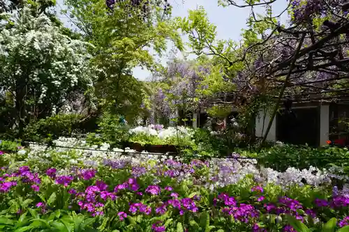 子安地蔵寺の庭園