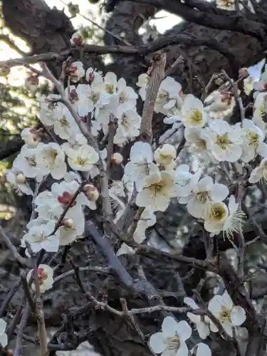 湯島天満宮(東京都)