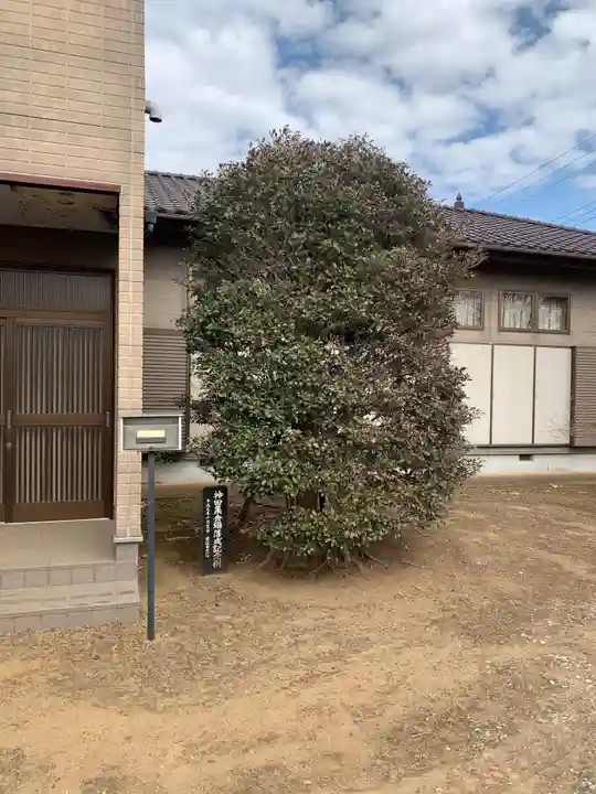 神田神社(千葉県)