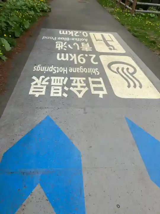 美瑛神社の周辺