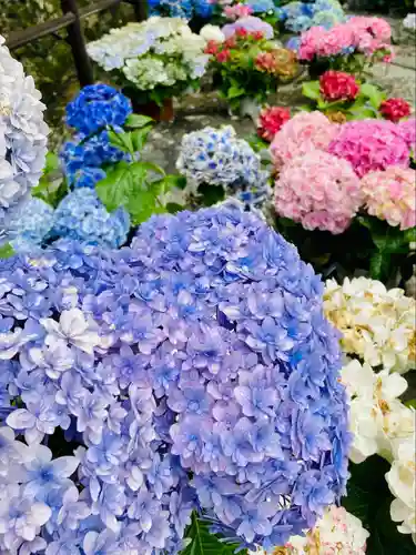 長谷寺(奈良県)