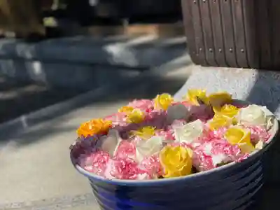 徳星寺(埼玉県)