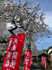 長王寺の自然