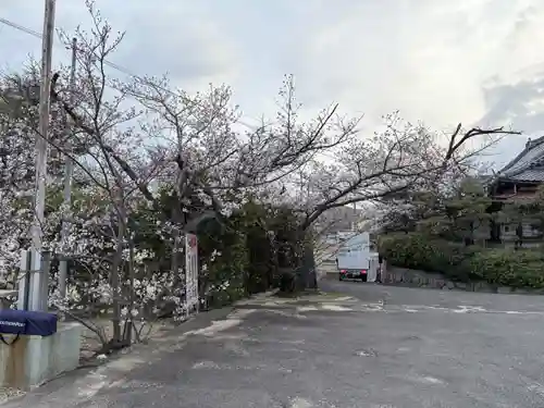 兵庫縣神戸護國神社の周辺