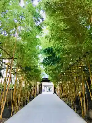 梅窓院の山門・神門