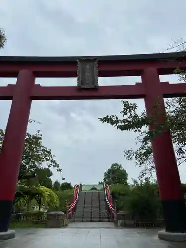 亀戸天神社の鳥居