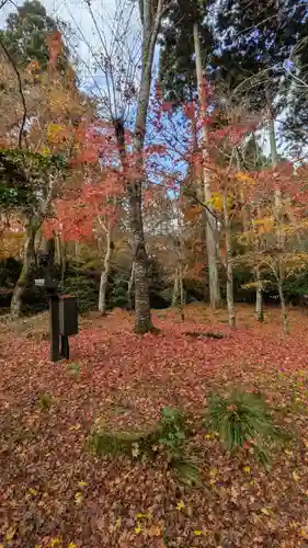 三千院門跡(京都府)