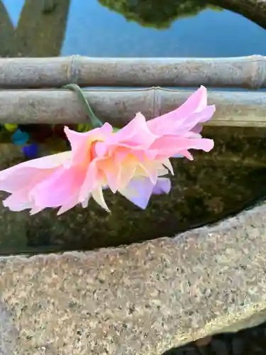 水堂須佐男神社(兵庫県)