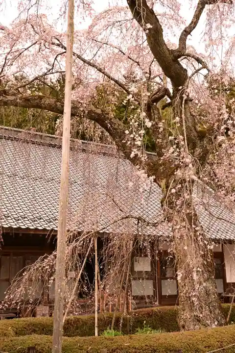 法蓮寺(愛媛県)