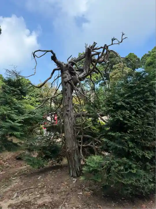 神野寺(千葉県)