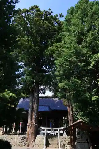 高司神社〜むすびの神の鎮まる社〜の景色
