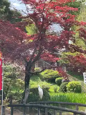 眞覚寺(東京都)