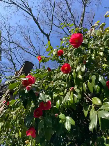 伊勢山皇大神宮の自然