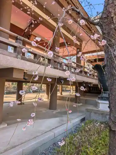 妙法寺(東京都)