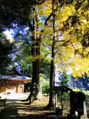 香取八坂神社(茨城県)