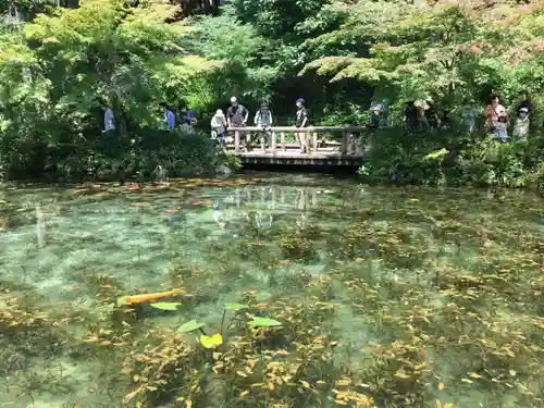 根道神社の庭園