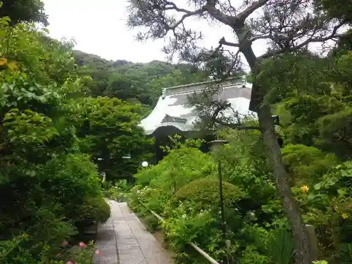 妙法寺の庭園