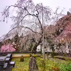 福徳寺(京都府)