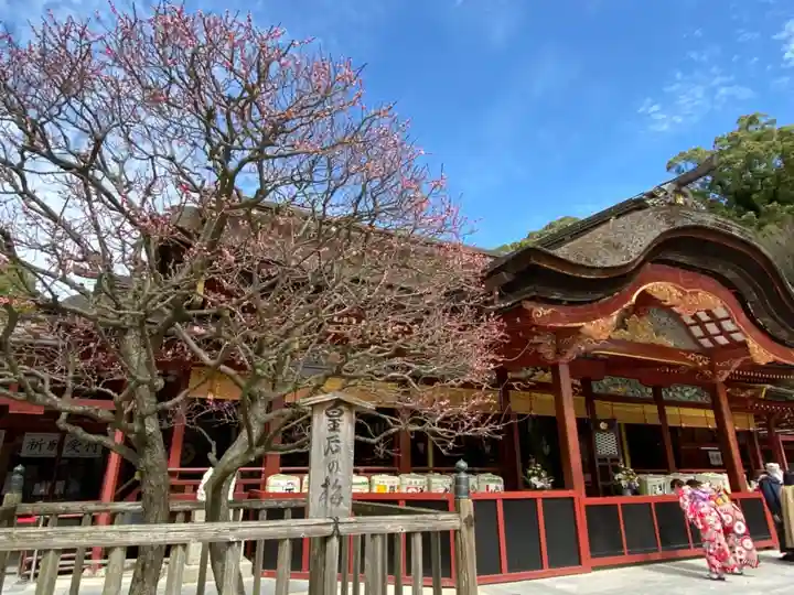 太宰府天満宮の本殿・本堂