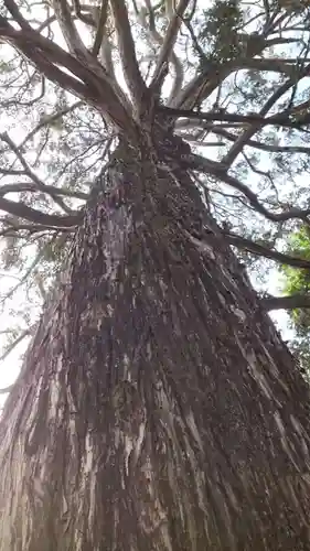 下神明天祖神社(東京都)