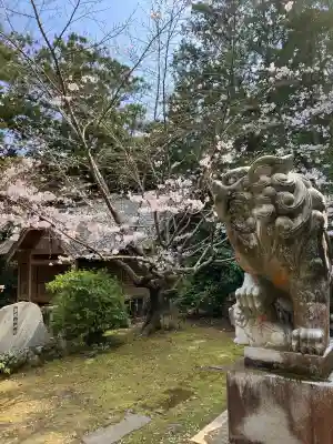 莫越山神社の{uncategorized: "未分類", other: "その他", undefined: "問題あり", building: "その他建物", grave: "お墓", sacred_gate: "鳥居", guardian: "狛犬", statue: "像", buddha: "仏像", history: "歴史", nature: "自然", garden: "庭園", animal: "動物", pagoda: "塔", temizu: "手水舎", mountain_gate: "山門・神門", sanctuary: "本殿・本堂", subordinate: "末社・摂社", art: "芸術", scenery: "景色", jizo: "地蔵", ema: "絵馬", goshuin: "御朱印", omikuji: "おみくじ", items: "授与品その他", amulet: "お守り", goshuincho: "御朱印帳", eats: "食事", festival: "お祭り", votive_dance: "神楽", shichigosan: "七五三参", wedding: "結婚式", experience: "体験その他", initially: "初詣", around: "周辺", anti_infection: "感染症対策"}