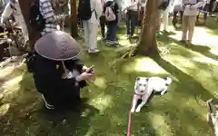 丹生都比売神社(和歌山県)