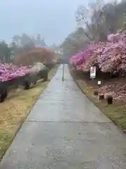 三峯神社(埼玉県)