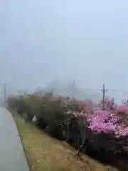 三峯神社(埼玉県)