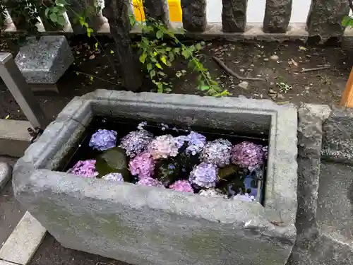 お三の宮日枝神社の手水舎