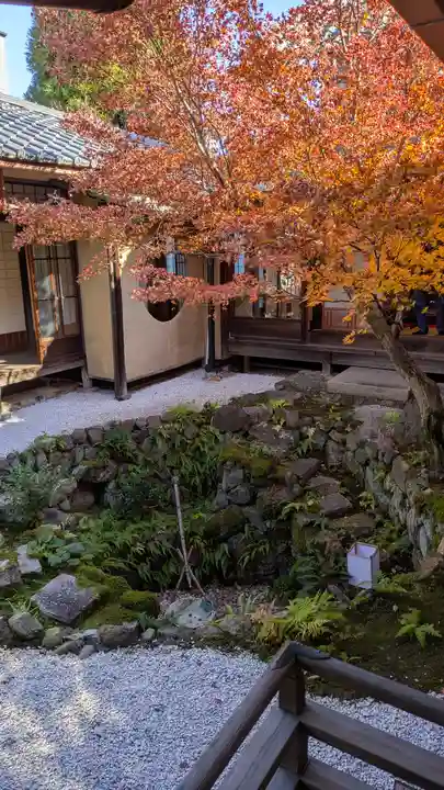 興聖寺(京都府)