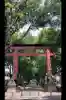 武蔵一宮氷川神社(埼玉県)