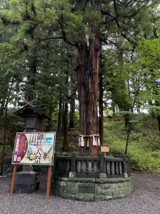 諏訪大社下社春宮(長野県)