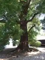 上野東照宮(東京都)