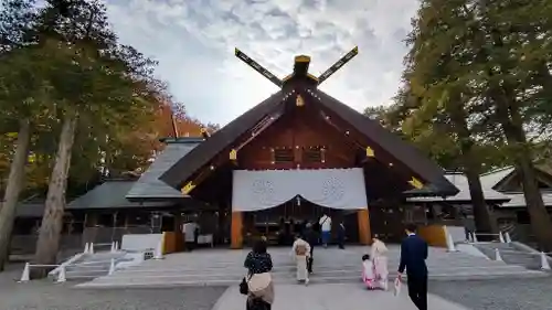 北海道神宮の七五三参