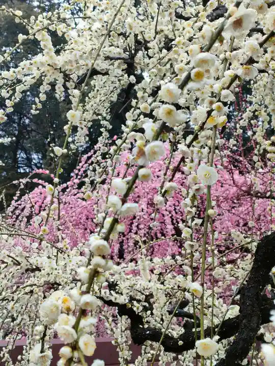 結城神社の庭園
