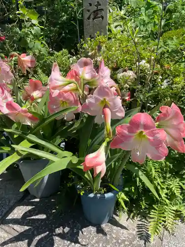 法輪寺(京都府)