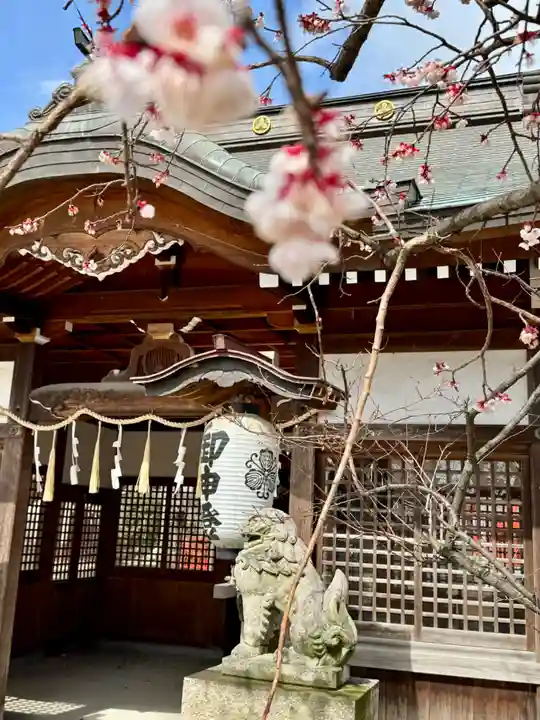 加古川戎神社 (粟津天満神社境内社)(兵庫県)