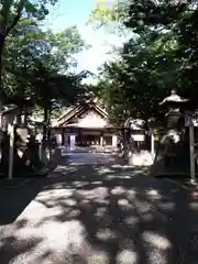 新琴似神社の建物その他