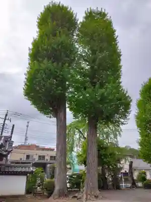 長導寺(神奈川県)