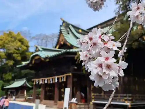 三嶋大社(静岡県)