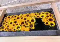 上目黒氷川神社の手水舎